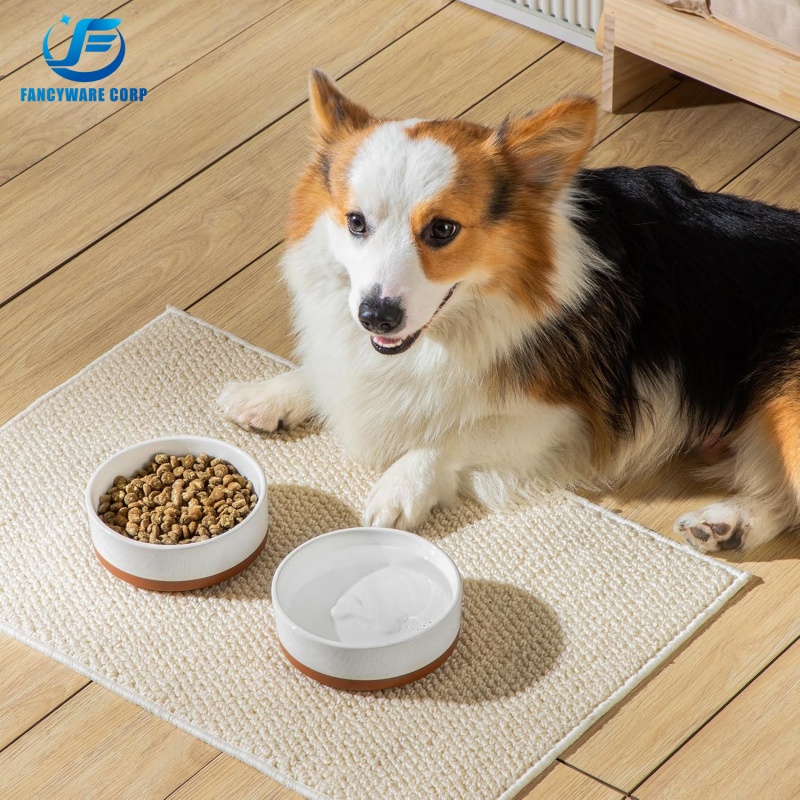 Ceramic Dog Food and Water Bowls: Stylish, Safe, and Pet-Friendly Choice