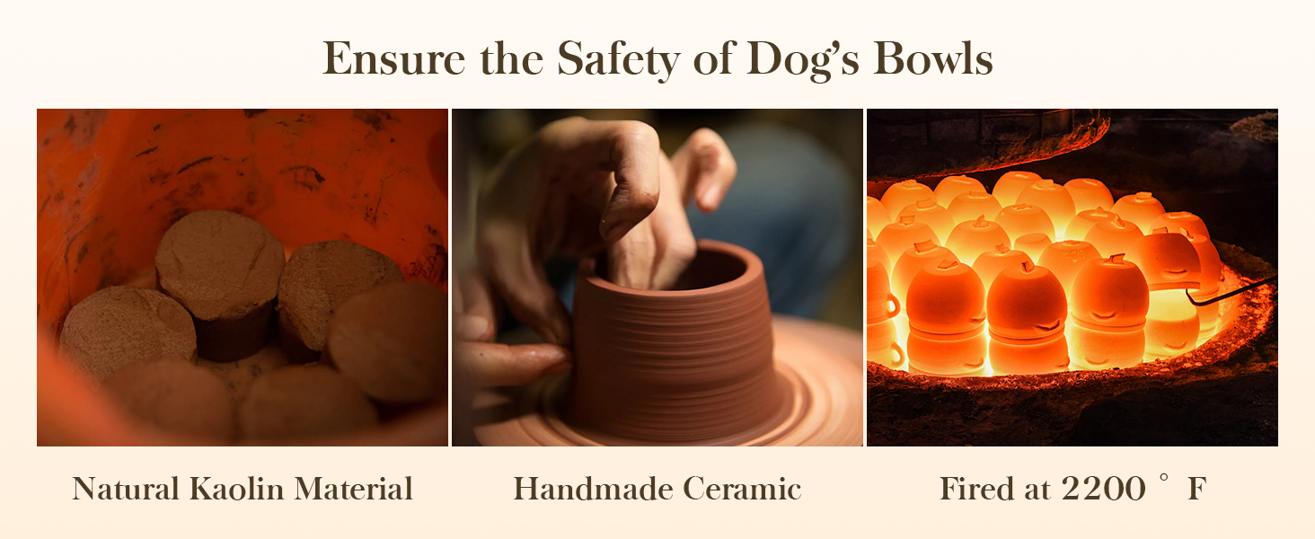 Ceramic Dog Bowls for Food and Water