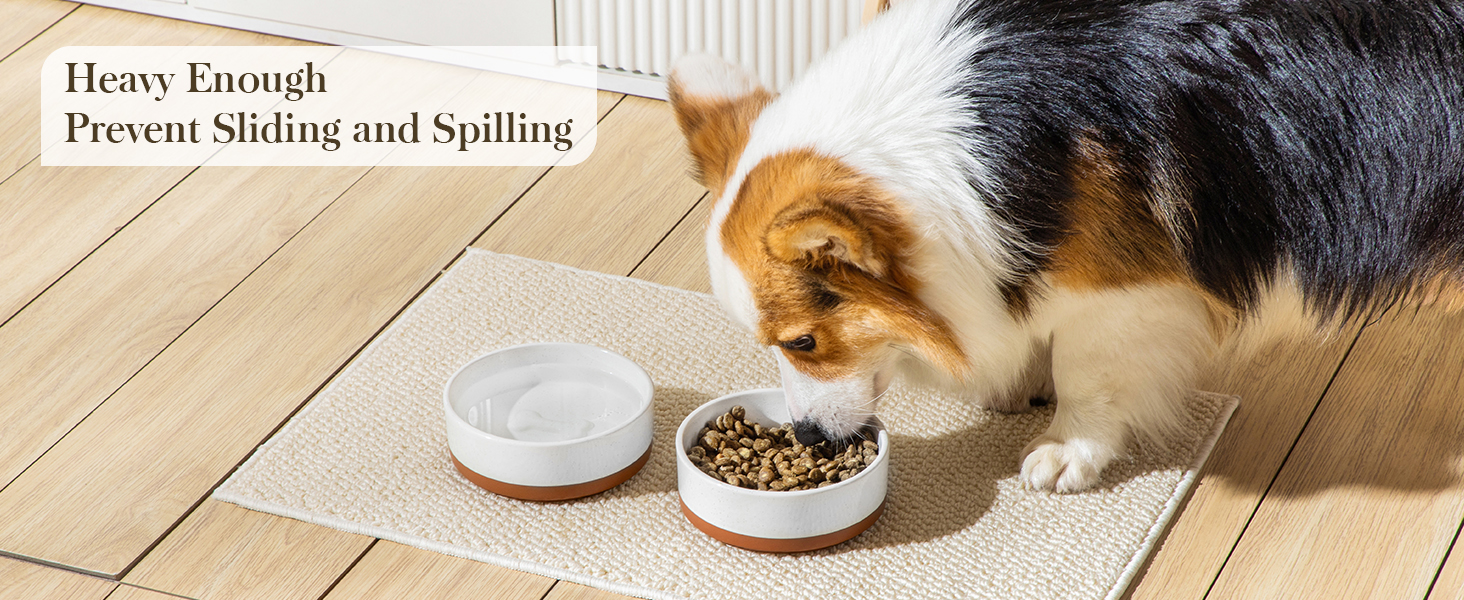 Ceramic Dog Bowls for Food and Water
