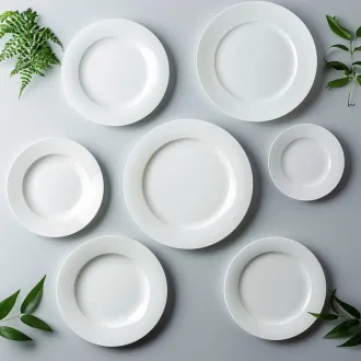 White Porcelain Flat Dinner Plates