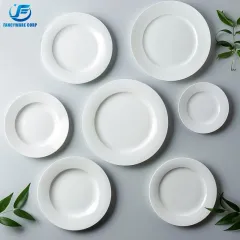 White Porcelain Flat Dinner Plates - Elegant & Durable Tableware