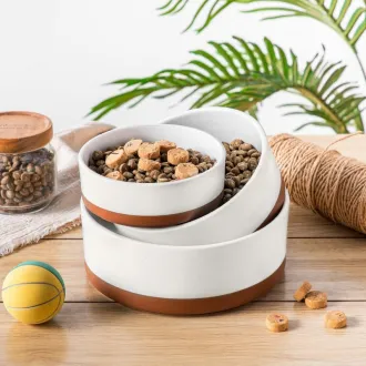 Ceramic Dog Bowls for Food and Water
