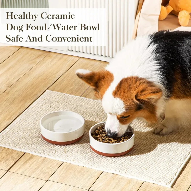 eco-friendly dog feeding bowl